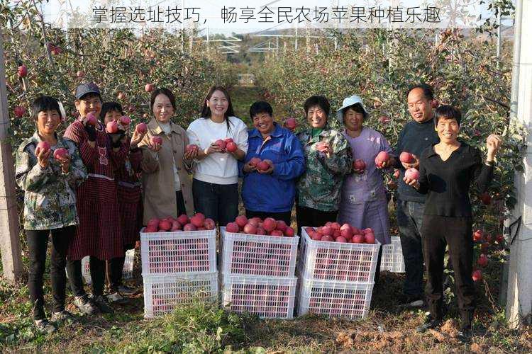 掌握选址技巧，畅享全民农场苹果种植乐趣