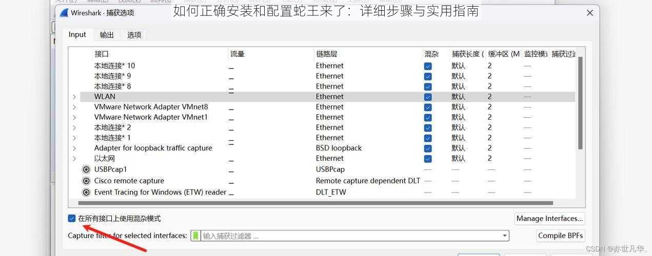 如何正确安装和配置蛇王来了：详细步骤与实用指南