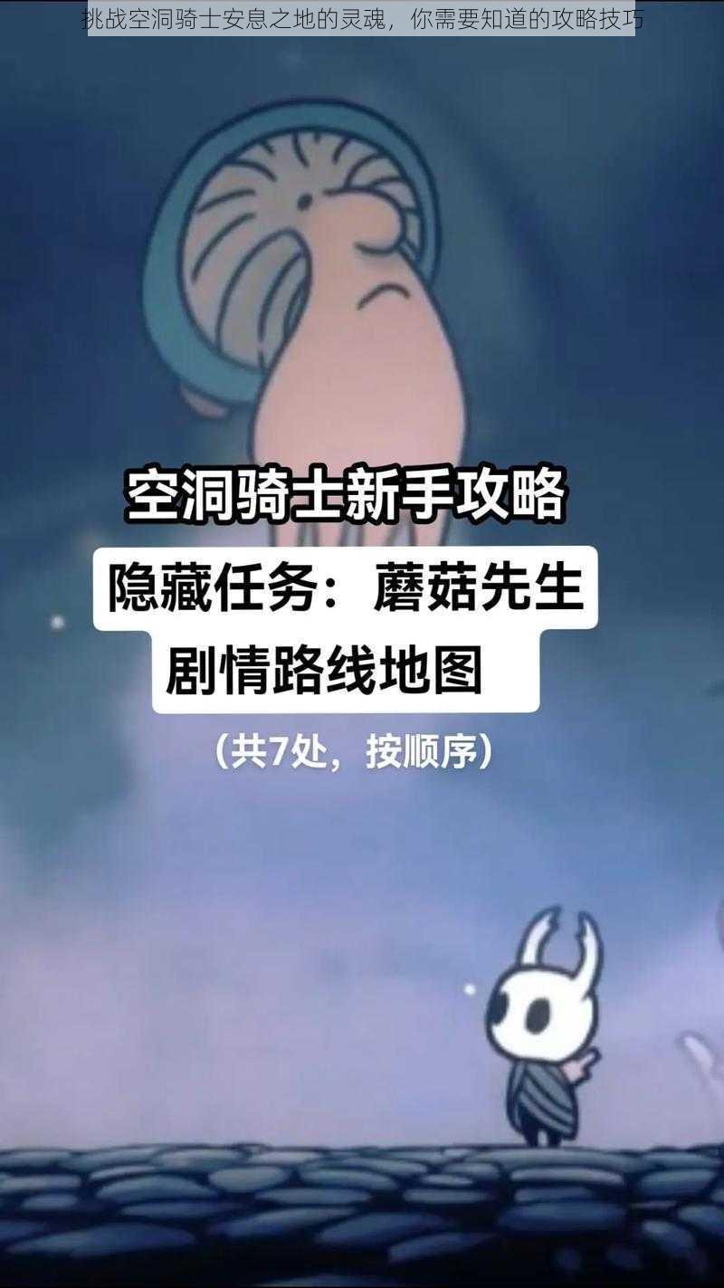 挑战空洞骑士安息之地的灵魂，你需要知道的攻略技巧