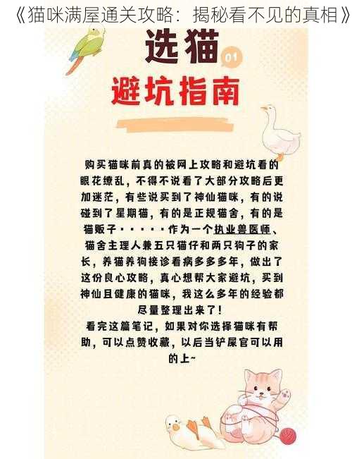 《猫咪满屋通关攻略：揭秘看不见的真相》