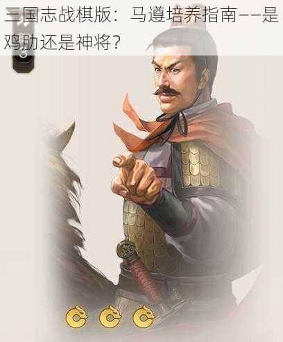 三国志战棋版：马遵培养指南——是鸡肋还是神将？